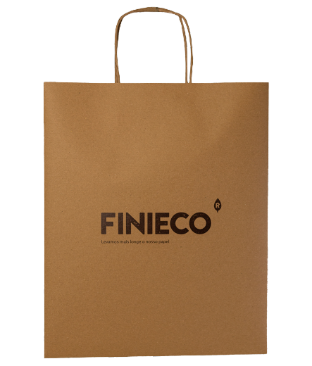 Paper bag with twisted handle