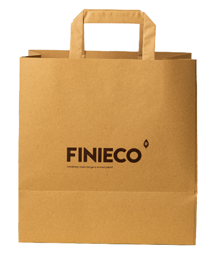 Paper bag with flat handle